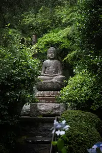 buddha