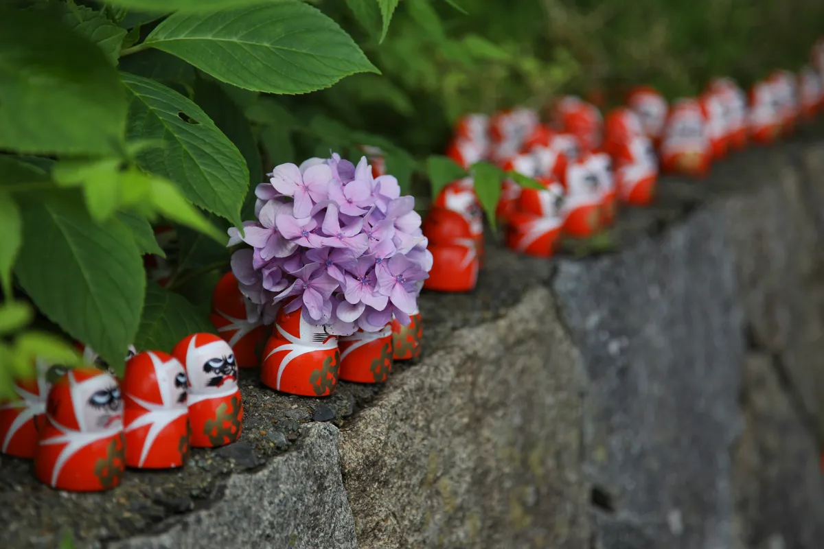 Daruma by Owen Turetzky