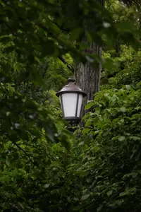 lamppost